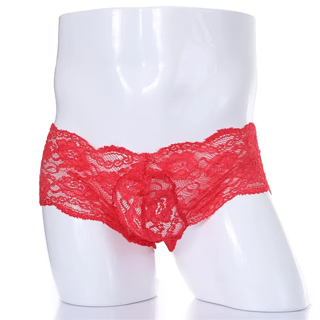 Men's lace briefs