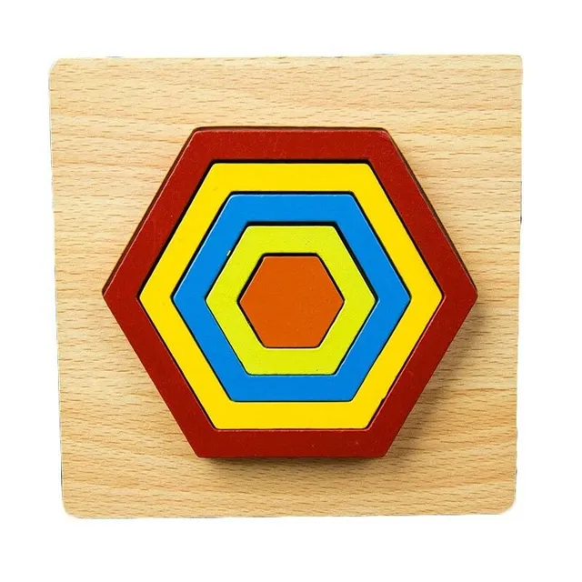 Wooden insert puzzle geometric shapes