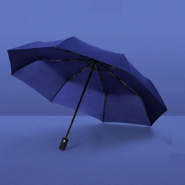 Hunter's Umbrella 1