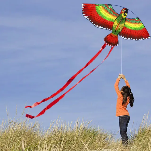Létající drak ve tvaru papouška - 3 barvy