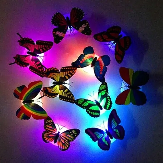 Lighting butterfly on the wall