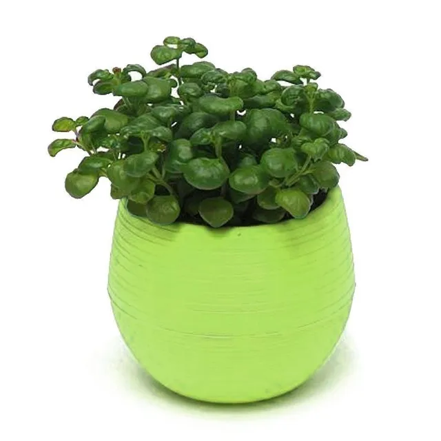 Mini pot de fleurs avec soucoupe C1168