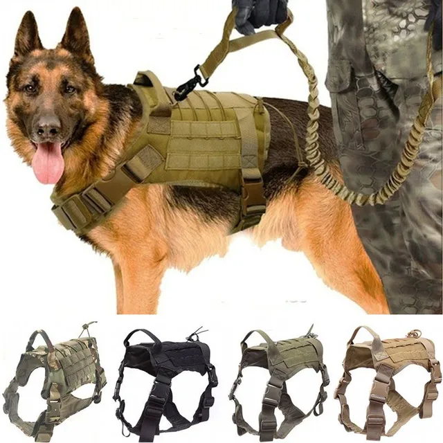 Waterproof training vest for dogs