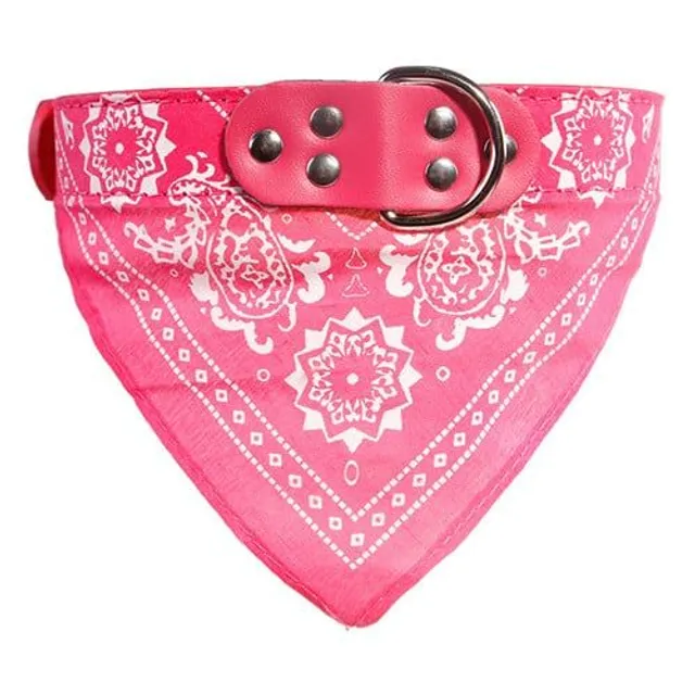 Stylish collar with scarf for dogs