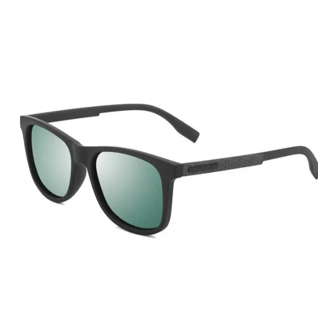 Men's polarized sunglasses Ray