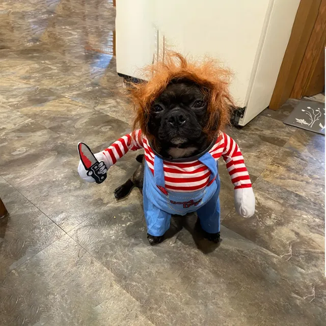 Halloween: Costume of scary dolls for dogs - Cute and scary at the same time