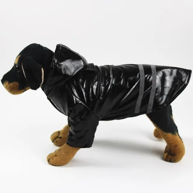 Waterproof outdoor suit for dogs