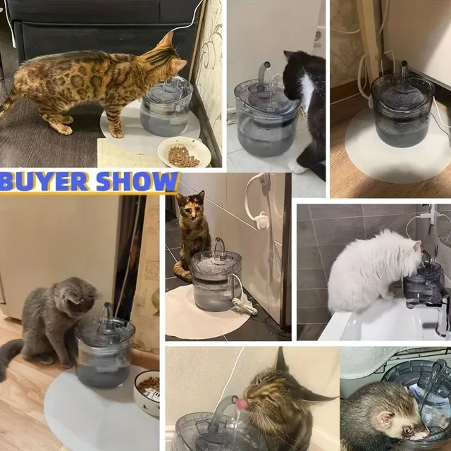 Transparent Cat Water Distributor