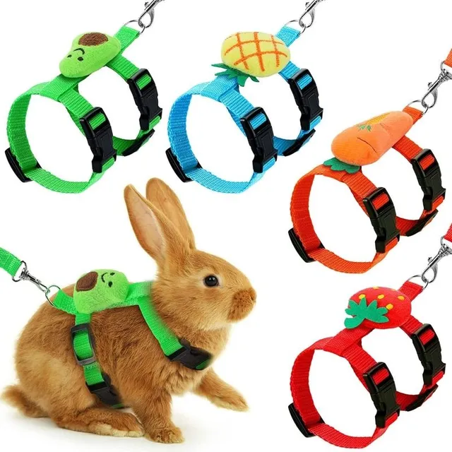 Modern crossbows with leash for rabbits with design detail of fruits and vegetables - more colors