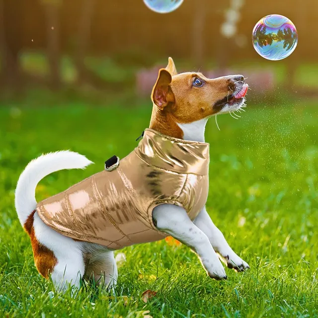 Vodotěsné oblečení pro psy