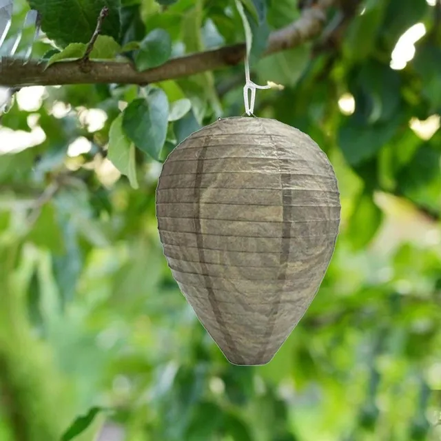 Hanging wasp trap