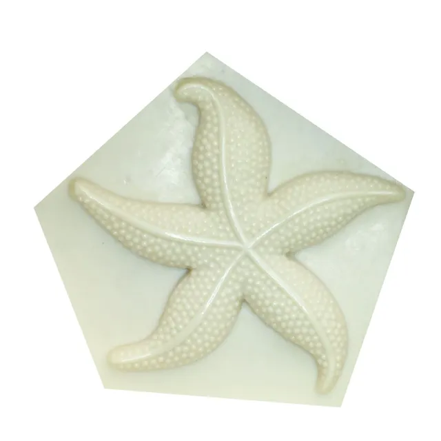 Silicone form sea star