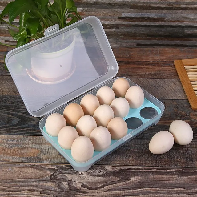 Colourful plastic egg storage box