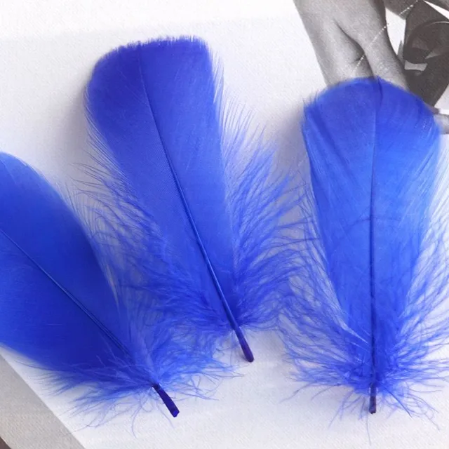 Natural coloured decorative feathers - 100 pcs