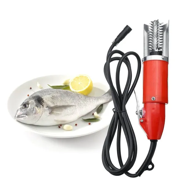 Electric fish scraper C411