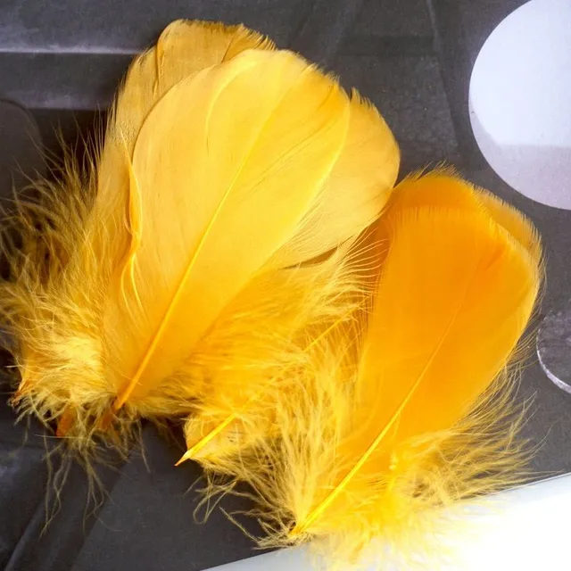 Natural coloured decorative feathers - 100 pcs