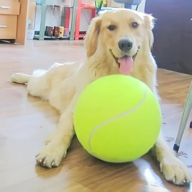 Giant tennis ball for pet training