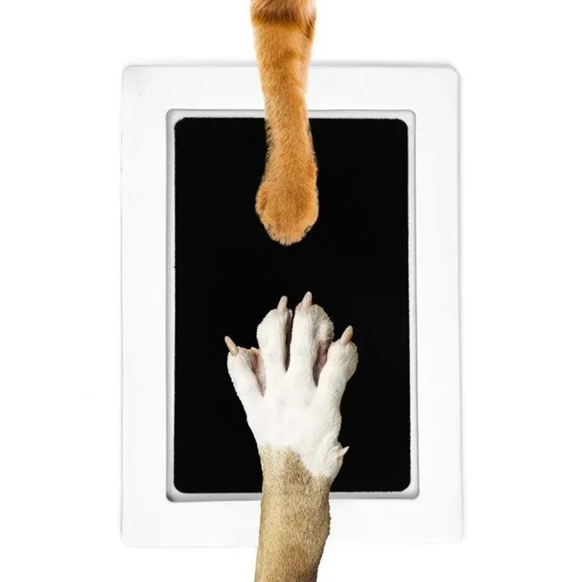 Set for prints of pet paws - safe and non-toxic kit for easy and clean creation of prints