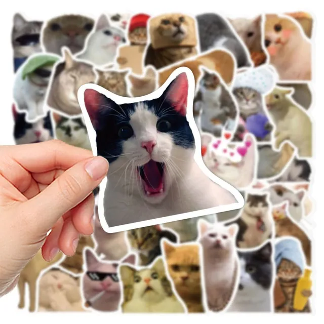 Set of funny stickers with cat Kitty