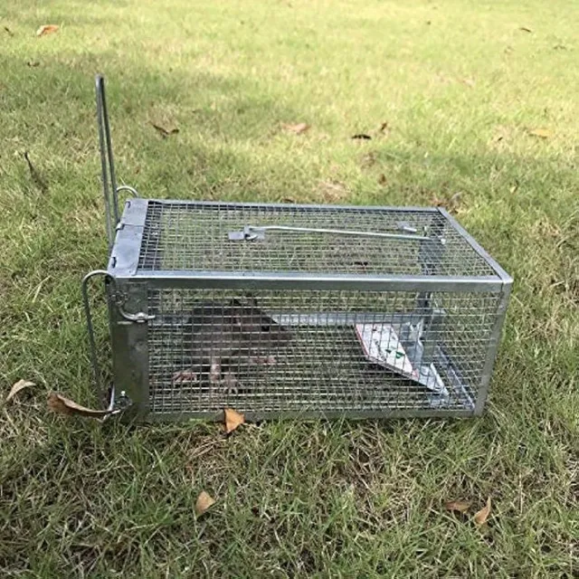 Humane rat trap and other rodents - catch and release the living!