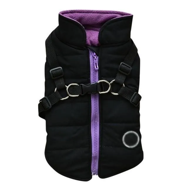 Warm outfit for dogs ZIPPER
