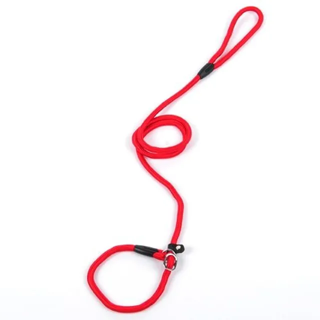 Practical leash for dogs with collar