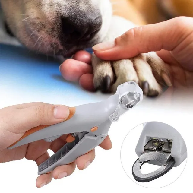 Claw clippers for dogs and cats with LED light