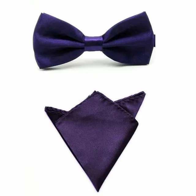 Férfi luxus szett | Csokornyakkendő, zsebkendő dark-purple