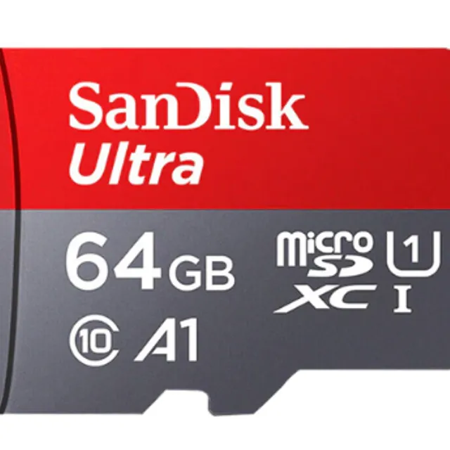 Micro SD card SanDisk