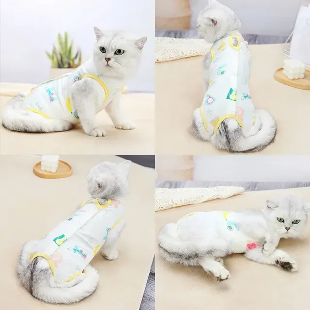 Elastic protective clothing for kittens and dogs after sterilization with recovery care