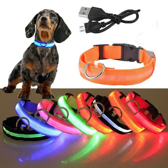 Rechargeable LED light up collar for pets