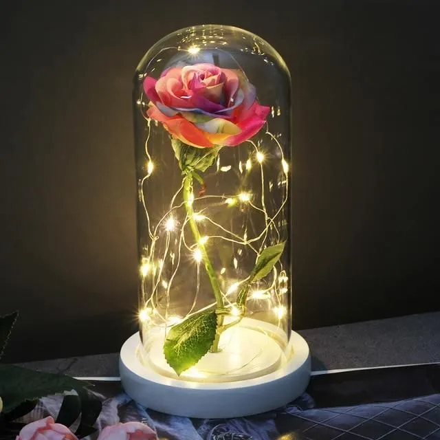 Luminous Roses in luxury packaging bai-di-cai-se