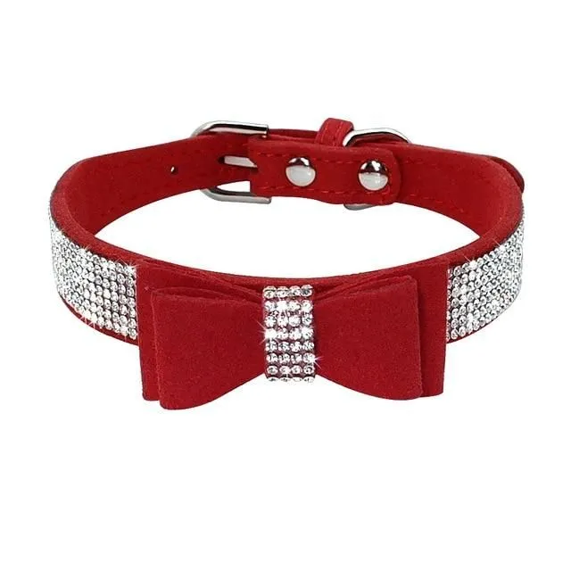 Leather collar for dogs and cats