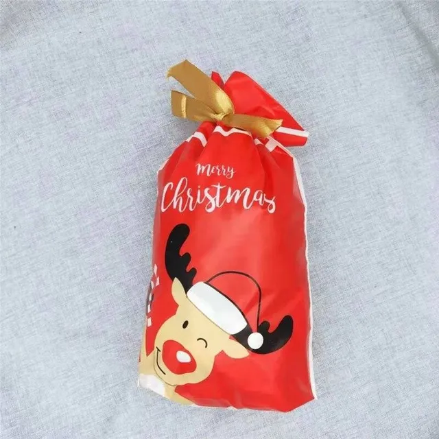 Christmas gift bag 10 pcs