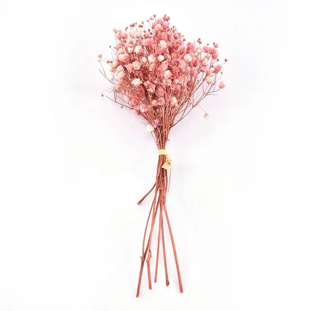 Natural dried flowers - decorations