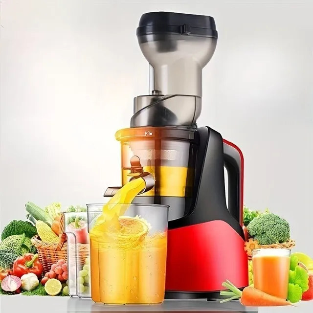 Slow juicer for cold press, 1 pcs, EU plug, worm juicer for fruit and vegetables