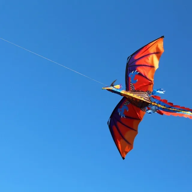 Lietajúci drak - 140 x 120 cm