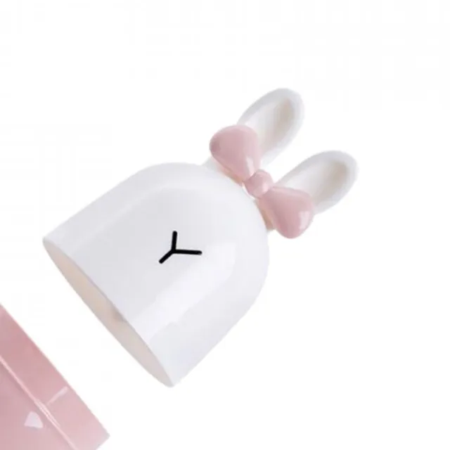 Cute rabbit storage box for toothbrushes