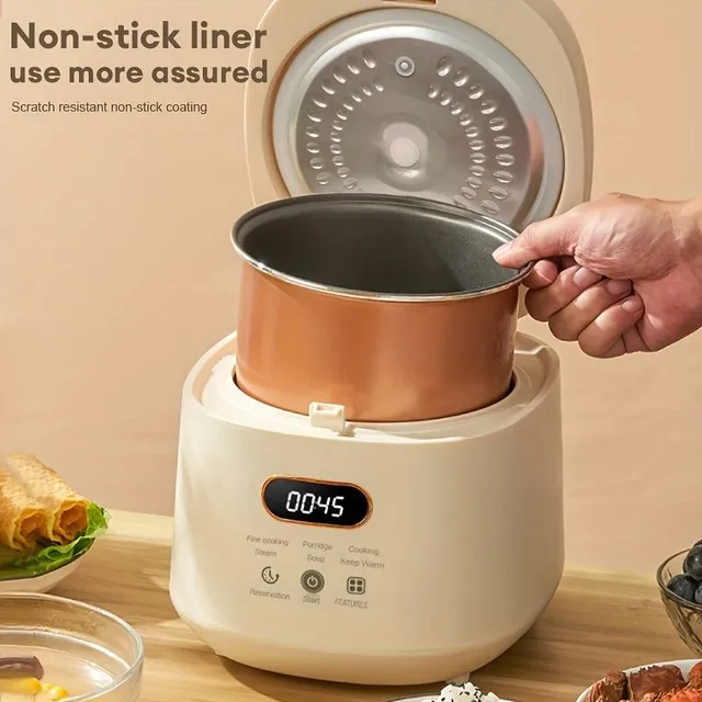 Small multifunctional rice cooker with removable non-stick container