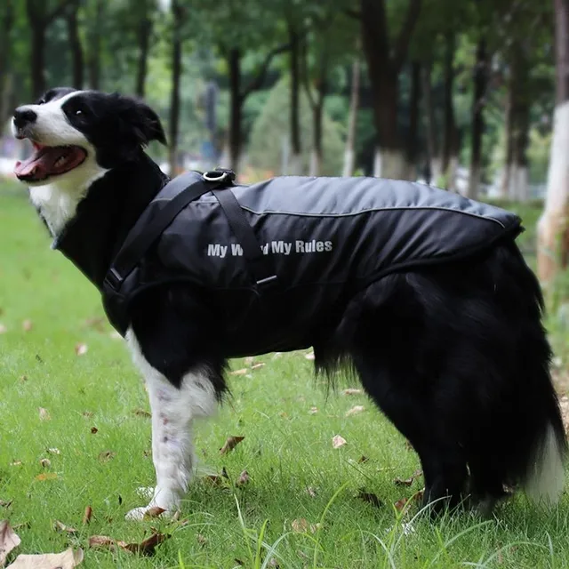 Jacket for dog