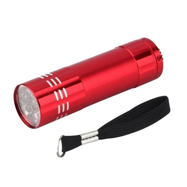 Pocket LED flashlight with UV detector