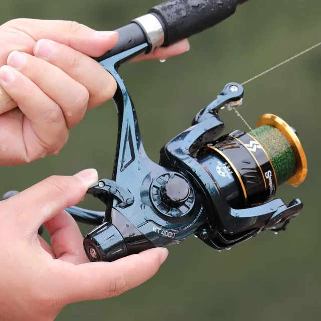 Carp winch