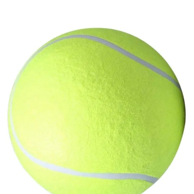 Large tennis ball for dog Thornton