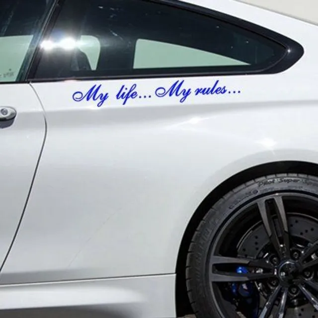 The sticker on the car, my life... my rules... "quot;