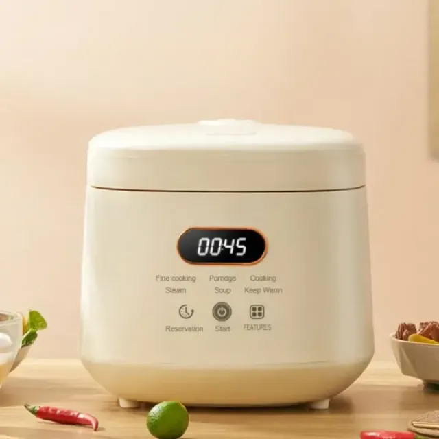 Small multifunctional rice cooker with removable non-stick container