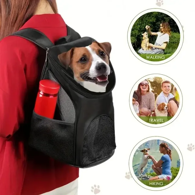 Sac à dos de voyage respirant pour chats et chiens pour promenades et randonnées