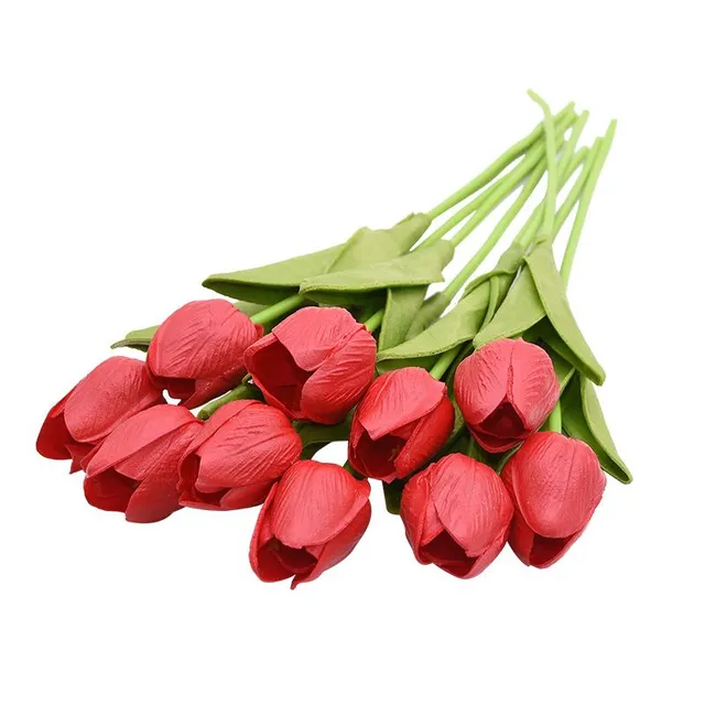 Tulipánky 10 kusů