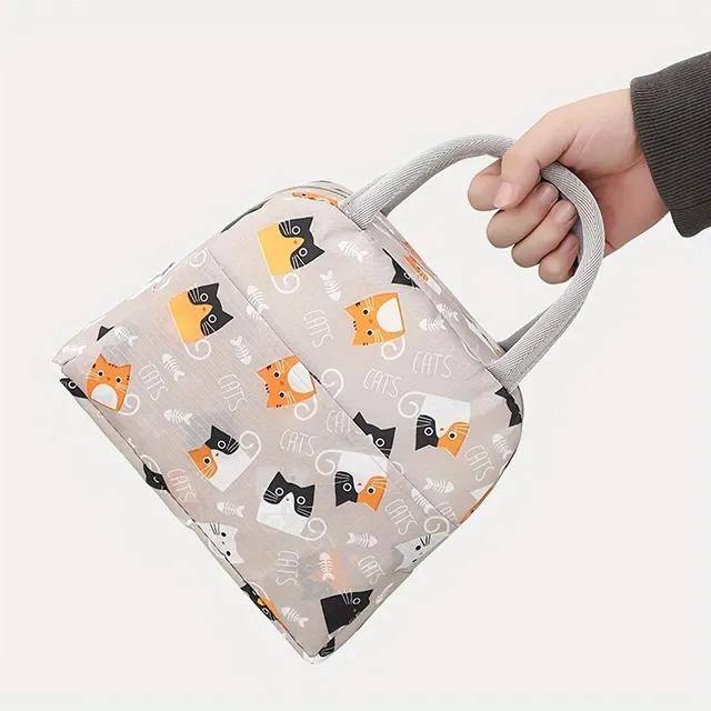 Light and portable lunch bag with zipper and cartoon motif