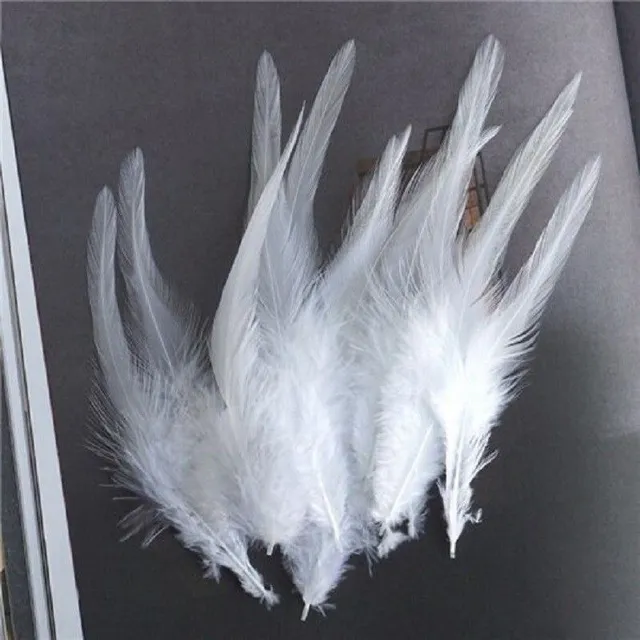 Decorative cock feathers 10-15 cm 50 pcs