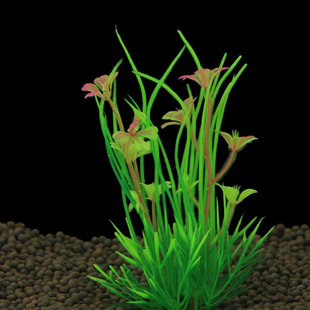 Rastliny do akvária